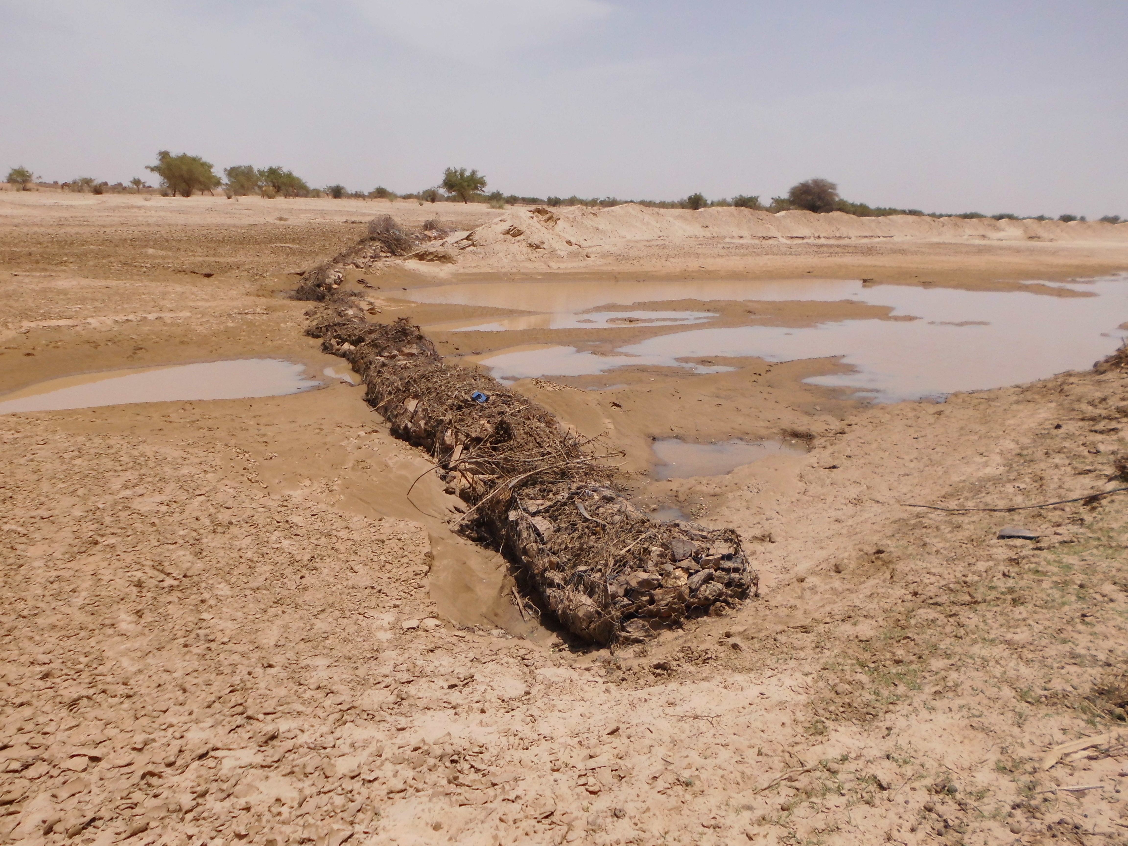 Projet de Restauration et de rÃ©habilitation du couvert vÃ©gÃ©tal et des terres agricoles de l'Oued de Tendel (MAU/SGP/OP5/Y4/CORE/LD/14/01) financÃ© par le PNUD/SGP