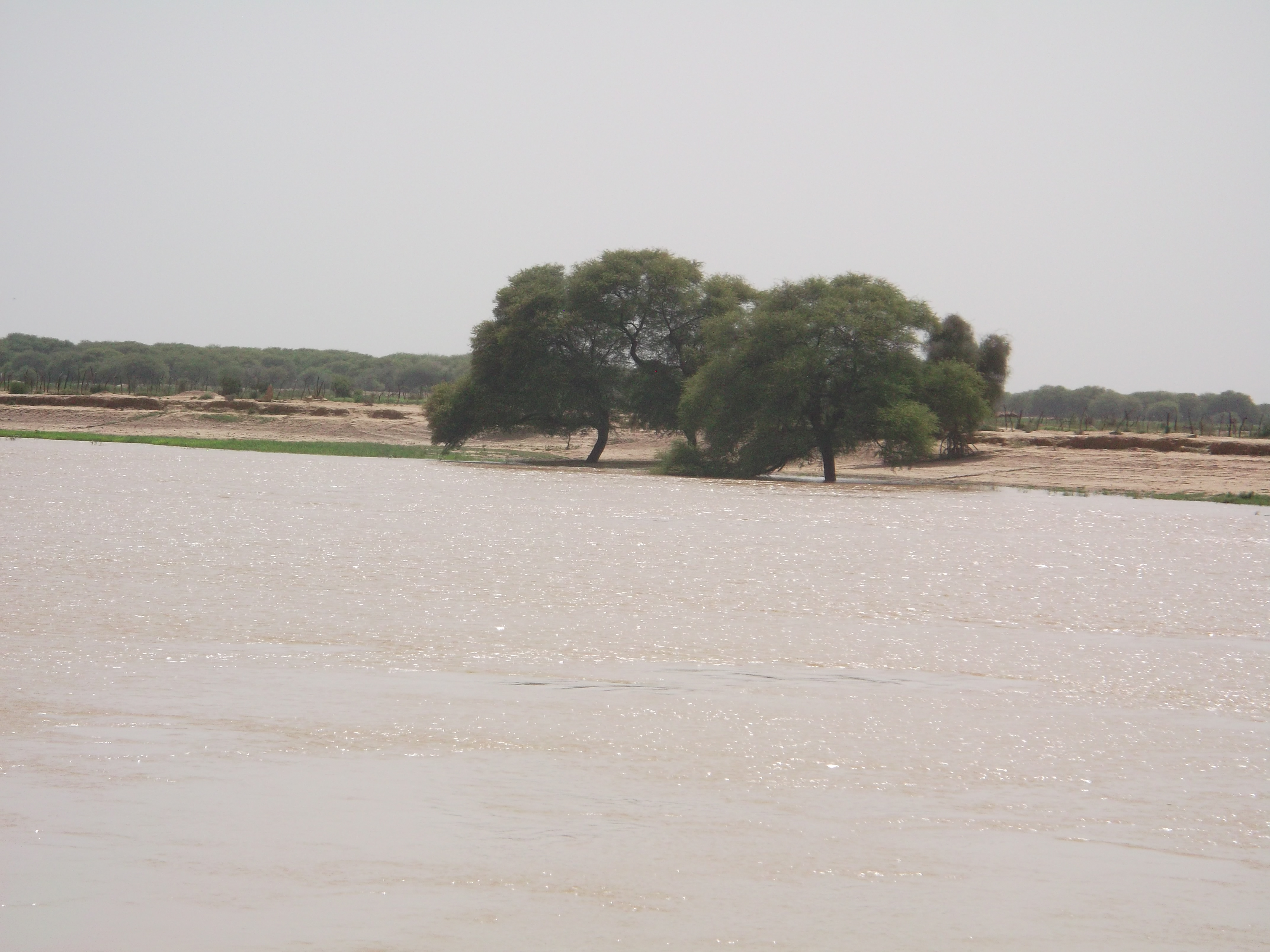 Projet Pacte entre lâ€™Etat et la sociÃ©tÃ© civile pour un accÃ¨s Ã©quitable et sÃ©curisÃ© Ã  la terre dans la vallÃ©e du Fleuve SÃ©nÃ©gal financÃ© par l'union europeenne