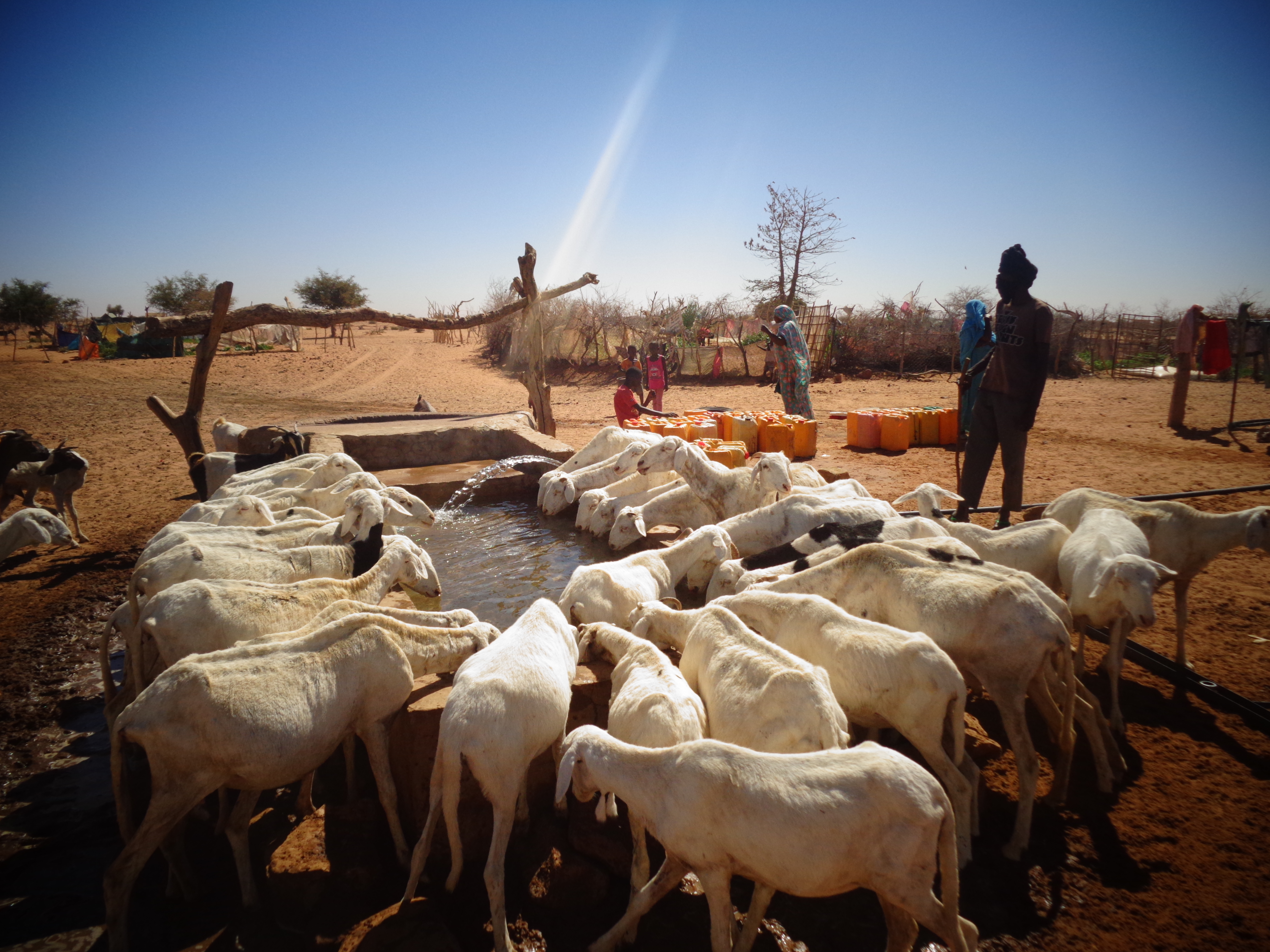 Projet Gouvernance amÃ©liorÃ©e pour la rÃ©silience agropastorale (GRAP) financÃ© par l'union europÃ©enne