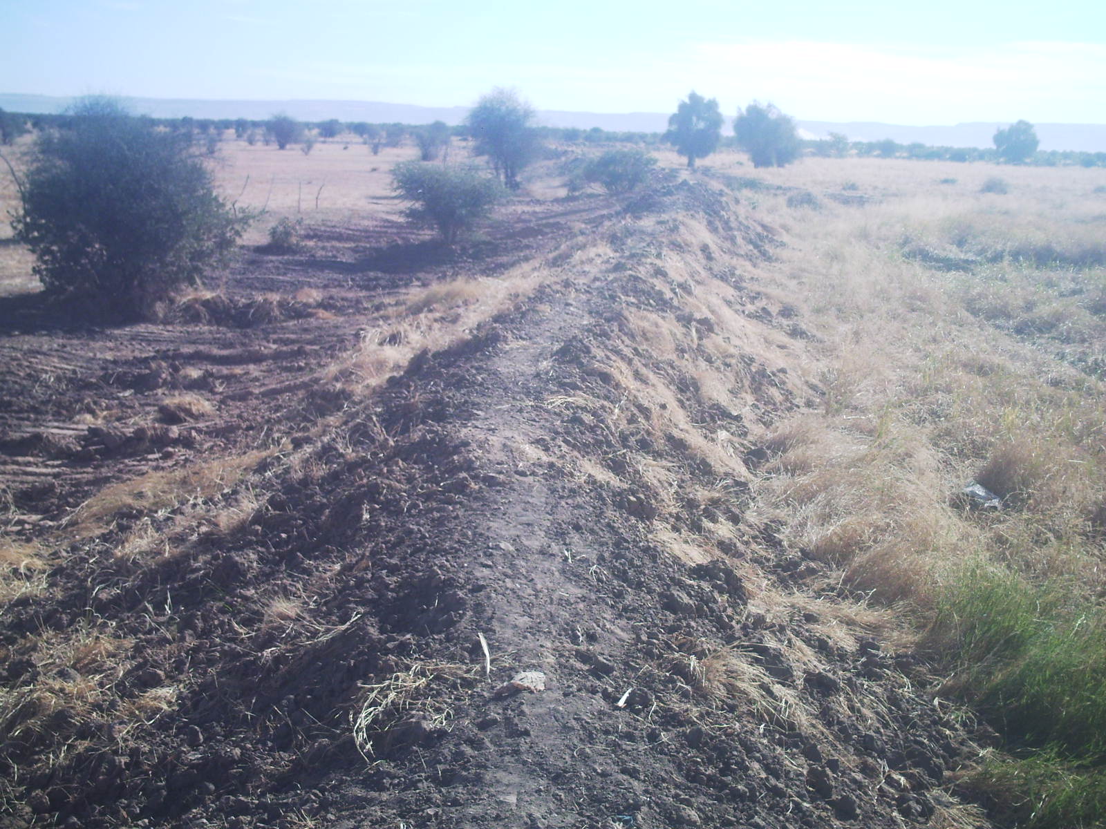 Projet dâ€™AmÃ©nagement de la dÃ©pression naturelle du village de Lekhteit (moughataa de Magtaa Lahjar) et gestion durable de sol menacÃ© par la dÃ©gradation (MAU/MDG-F/AN1/07-09-03) FinancÃ© par le PNUD/SGP